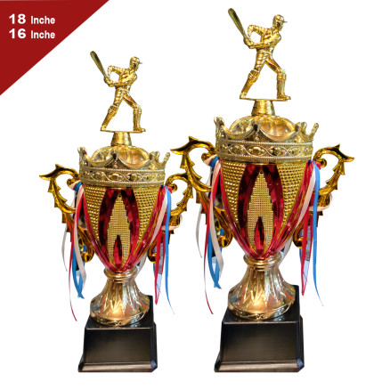 Tournamen Set Trophy for Cricket [18''and 16'']_10080